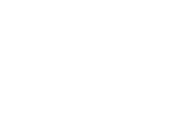 Zeno MagDock